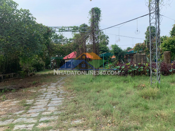 Chính chủ cho thuê 2.000m² đất đẹp tại tuy hòa – phù hợp...