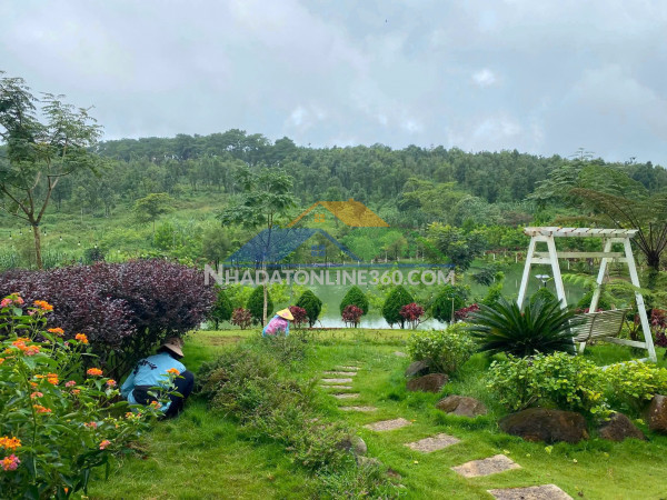 Bán đất khu camping làng omm – bảo lộc, lâm đồng