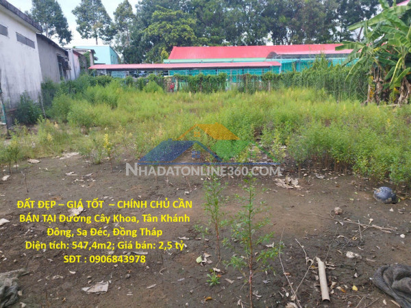Đất đẹp – giá tốt  – chính chủ cần bán tại đường cây khoa, tân khánh đông, sa đéc, đồng tháp