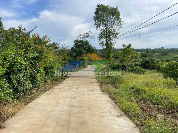 Chính chủ bán căn hộ 2pn, 76m2 - rose town 79 ngọc hồi - sẵn sổ, đầy đủ nội thất