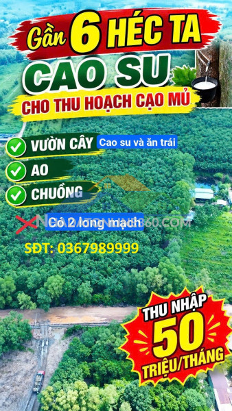 Đất đẹp – giá tốt – cần bán 52.918 m² mẫu long nguyên, xã long nguyên, huyện bàu bàng, bình dương