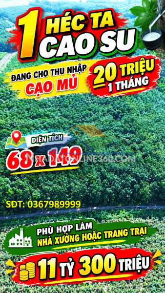 Đất đẹp – giá tốt - cần bán gấp cặp đất sào liền kề cạnh kcn bàu bàng mở rộng bàu bàng, bình dương