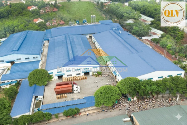 Cho thuê kho, nhà xưởng tại Phường Tân Phước Khánh, Thị xã...