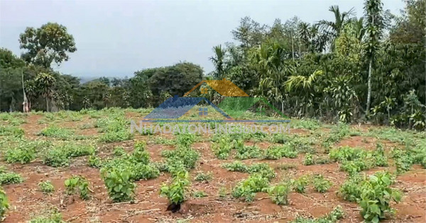Đất đẹp – chính chủ cần bán lô đất mặt tiền đ. trung tâm quảng khê, h. đắk glong, t. đắk nông