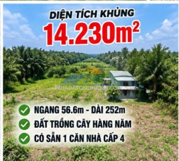 Tại sao nhà đầu tư đất ven đô nên xem kỹ lô 14.230m² này ở củ chi