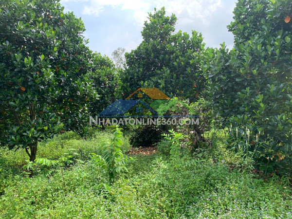 Chính chủ bán 5.380m2 đất nghĩa thành, sát sonadezi suối nghệ, giá 8 tỷ, chỉ 1,49 triệu-m2