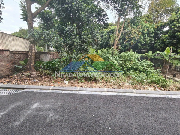 Rất rẻ, dành cho ai tìm 165m2, mt7m, 7.25 tỷ, nguyên khê, đông anh, hà nội, ô tô.