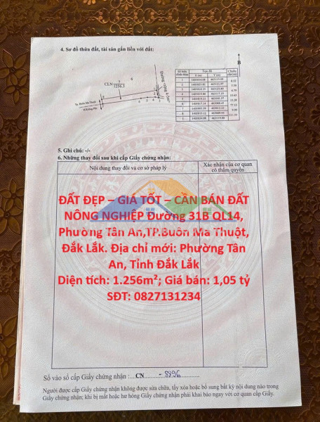 Đất đẹp – giá tốt – cần bán đất nông nghiệp đường 31b ql14, phường tân an,tp.buôn ma thuột, đắk lắk