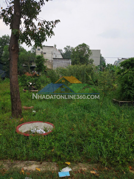 Đất đẹp- giá tốt bán nhanh lô đất đầu tư là sinh lời tại thị xã bến cát tỉnh bình dương