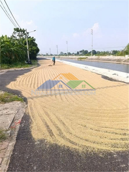 Chính chủ bán đất đấu giá trịnh xá, tp phủ lý, hà nam - mặt tiền đường giá tốt!