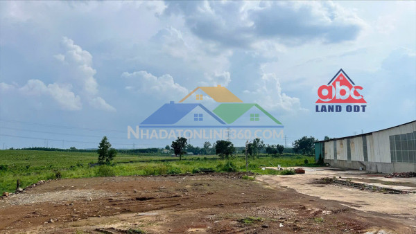 X185 bán nhà xưởng sản xuất tại kcn cnc long thành, thu hút nhiều cty dn fdi,