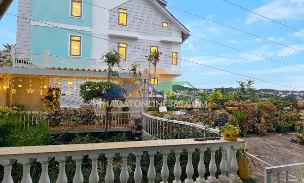 Cho thuê căn hộ view đồi và nhà kính có hồ sen trước nhà giá 15 triệu đà lạt lâm đồng