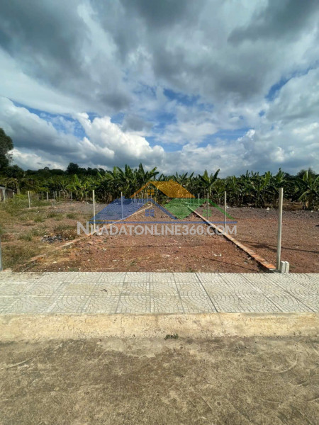 Bán đất 134.8 m² có 98m² thổ cư, shr tại phường dầu giây (hưng lộc cũ)