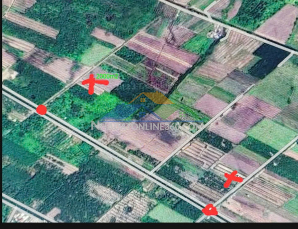 Chính chủ bán nhanh lô đất trồng cây lâu năm tại xã lê minh xuân ,huyện bình chánh