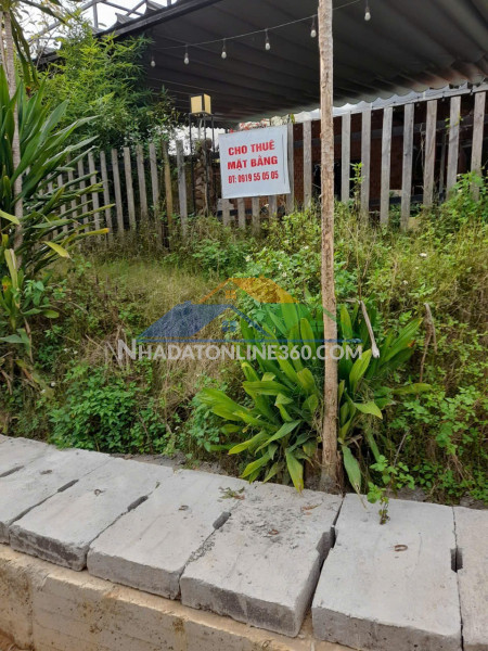 Đất đẹp giá tốt – chính chủ cần cho thuê lô đất mặt đường tô hiệu, đà lạt, lâm đồng