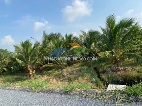 Đầu tư sinh lời -chính chủ bán 7.000m² đất trồng dừa mặt tiền tỉnh lộ 871 –tiềm năng khai thác đa dạng