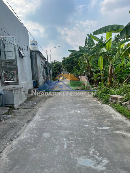 Chính chủ bán gấp 2 lô nhà đất tp đồng nai, nợ bank cần tiền, giá xả đáy, khách chốt nhanh có lộc