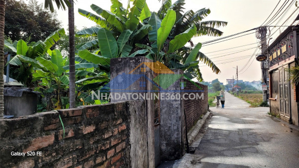 Đất chính chủ - giá tốt chính chủ bán nhanh đất vị trí đắc địa gần vinhomes cổ loa đông anh, hà nội