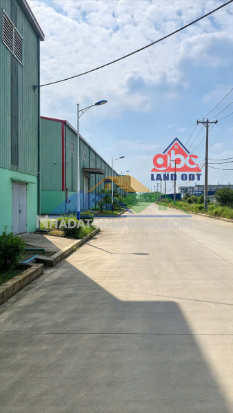 Xt250 cho thuê kho lưu trữ, vận hành logisic kho trống sẵn sàng, cảng lớn tập kết cont