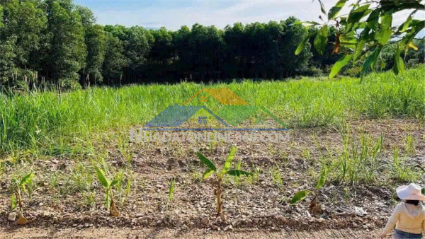 Đất đẹp giá tốt – cần bán lô đất tại thôn xuân nam, xã diên xuân, diên khánh, khánh hòa