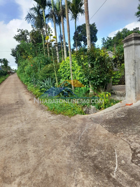 Đầu tư sinh lời – cần bán đất thổ cư, tổ dân phố bình minh, p. cư bao, t. đắk lắk