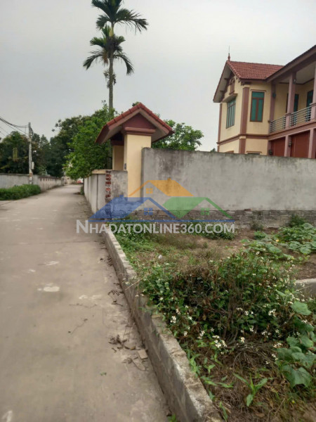Bán đất thổ cư tân dân – phú xuyên  590m²  giá chỉ 1x triệu/m²