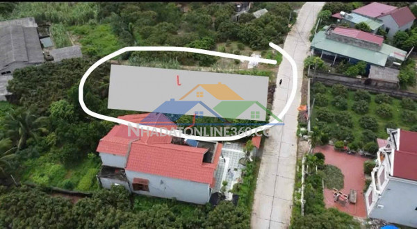 Chính chủ bán đất thổ cư nam hải, đông hải, hải phòng - 56m2, ngõ ô tô, giá 2,4 tỷ