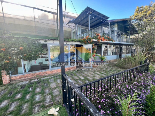 Cho thuê homestay view thung lũng diện tích gần 2.000m2 giá 15 triệu xuân thị đà lạt lâm đồng
