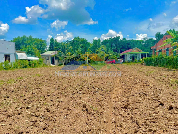 Chính chủ bán đất tại trà vong – tây ninh