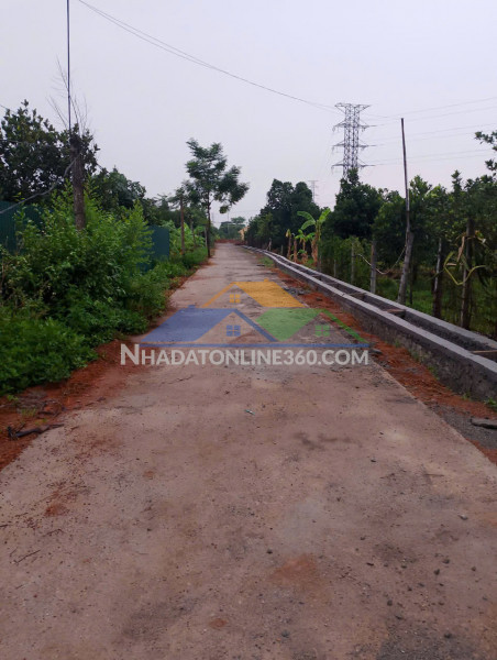 Chuyển nhượng 7.000m² đất trang trại sinh thái tại phúc thọ , hà nội