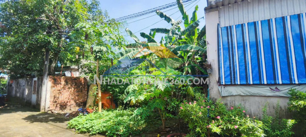 Chính chủ bán đất phước tân, gần bệnh viện phổi đồng nai - 240m2, thổ cư, sổ riêng, giá 6,7 tỷ