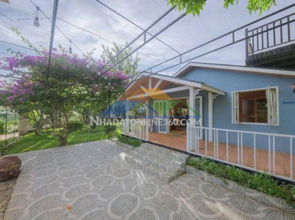 Cho thuê homestay khuôn viên 2.000m2 4 bungalow view rừng thông giá 35 triệu tại tà nung đà lạt lâm đồng