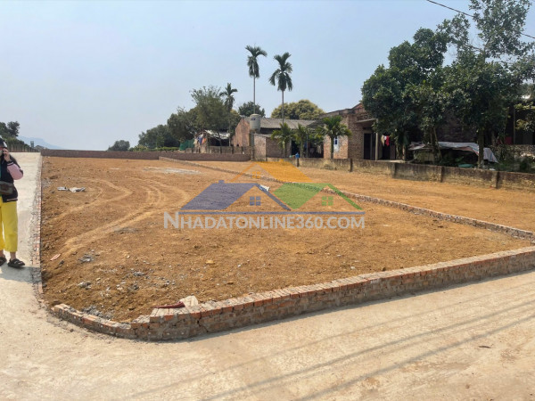 Chính chủ bán đất thôn cẩm an, xã cẩm lĩnh, ba vì, hà nội -...