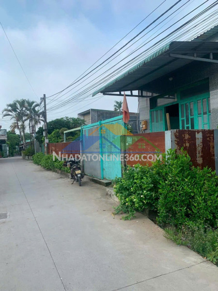 Nhanh tay sở hữu ngay căn nhà vườn chính chủ hẻm xe hơi tại xã hưng long, bình chánh, tp hcm