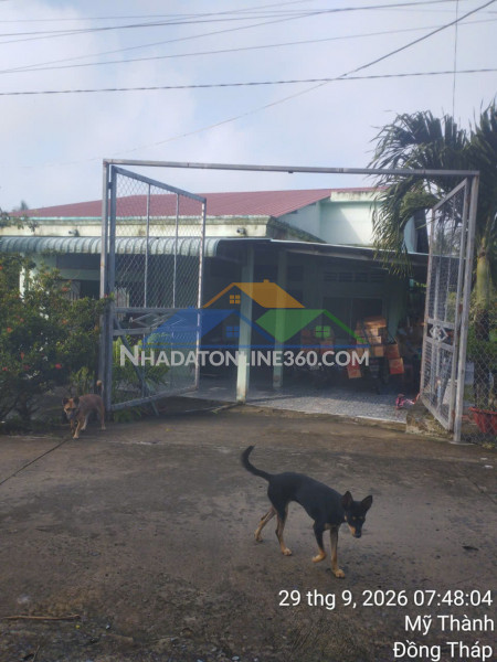 Nhà vườn 2 mặt tiền – giá tốt  – chính chủ cần bán tại...