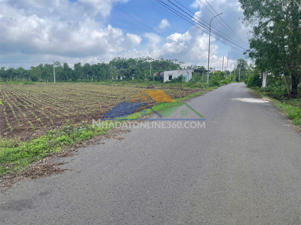 Bán lô đất vị trí đắc địa tại bình ba - đá bạc , châu đức, bà rịa vũng tàu