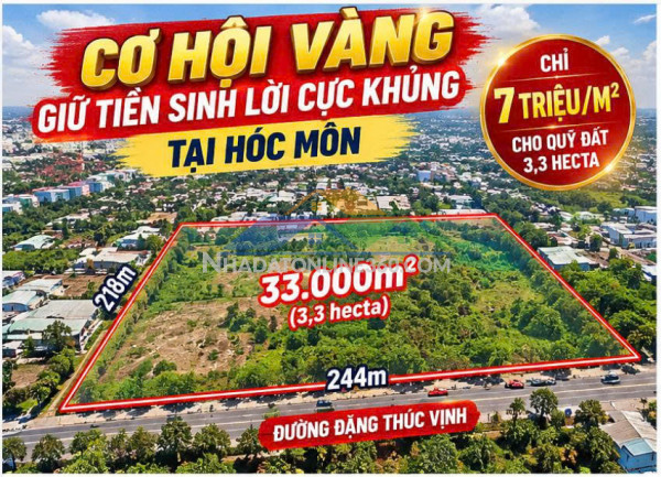 Giữ 231 tỷ tiền mặt  hay nắm trong tay 3,3ha đất tại của ngõ sài gòn