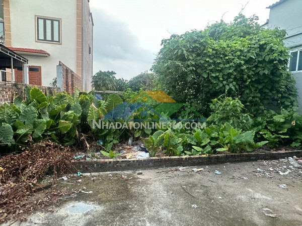 Chủ gấp quá rồi , đang rất cần tiền tha thiết gửi em bán lô đất 100m2 , giá 3 tỷ.