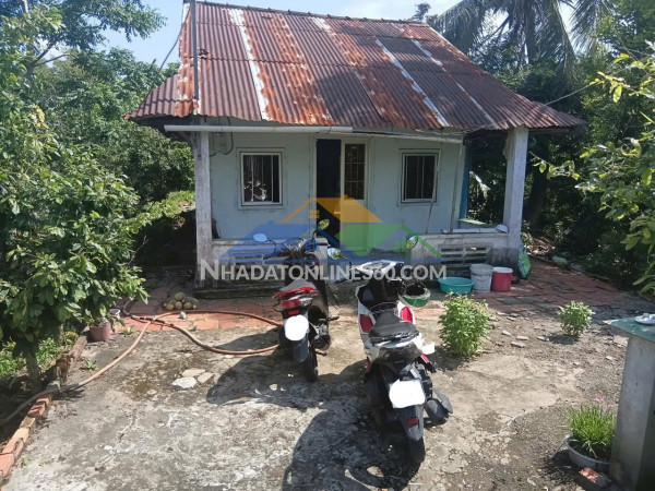 Chính chủ bán đất mặt tiền đường trần văn tất ( dưới cầu thầy thông)– xã phi thông (cũ) nay là phường vĩnh thông, tỉnh an giang.